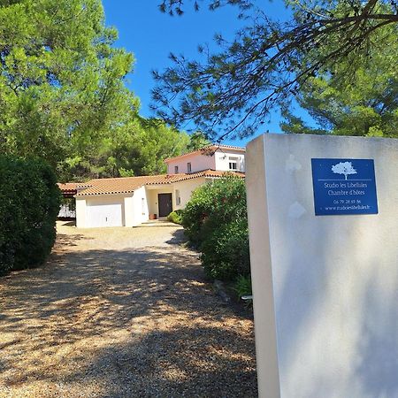 Studio D'Hotes Les Libellules คาสเตลนู-เลอ-เลซ์ ภายนอก รูปภาพ